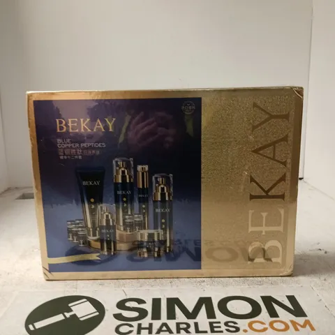 BEKAY BLUE COPPER PEPTIDES DAY & NIGHT ESSENTIALS SET