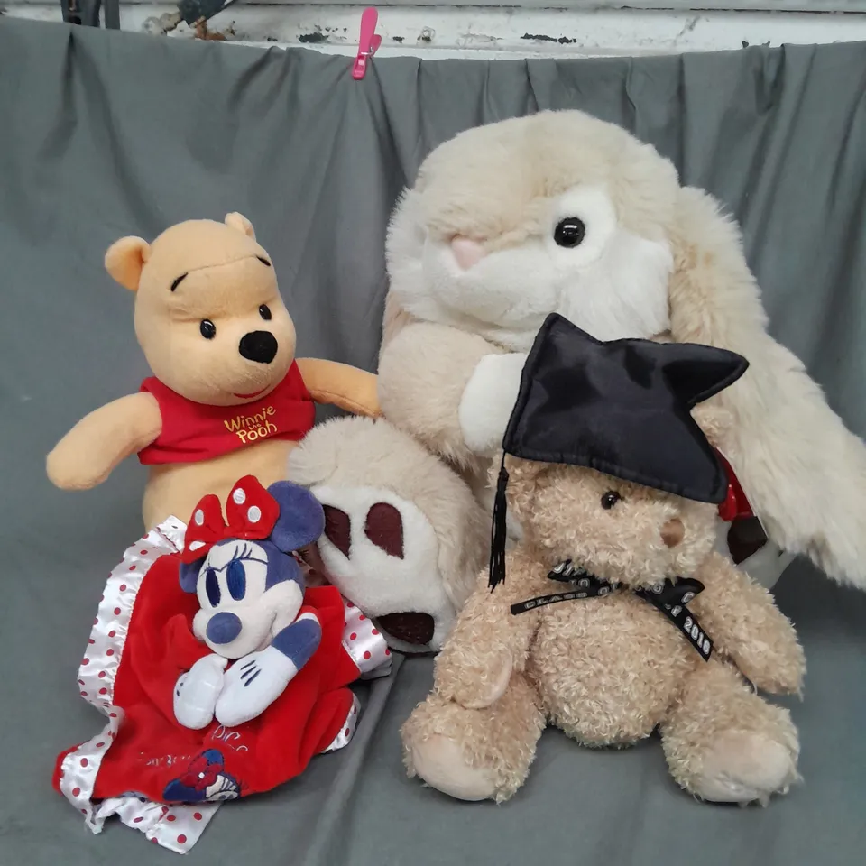 BOX OF ASSORTED PLUSH SOFT TEDDIES