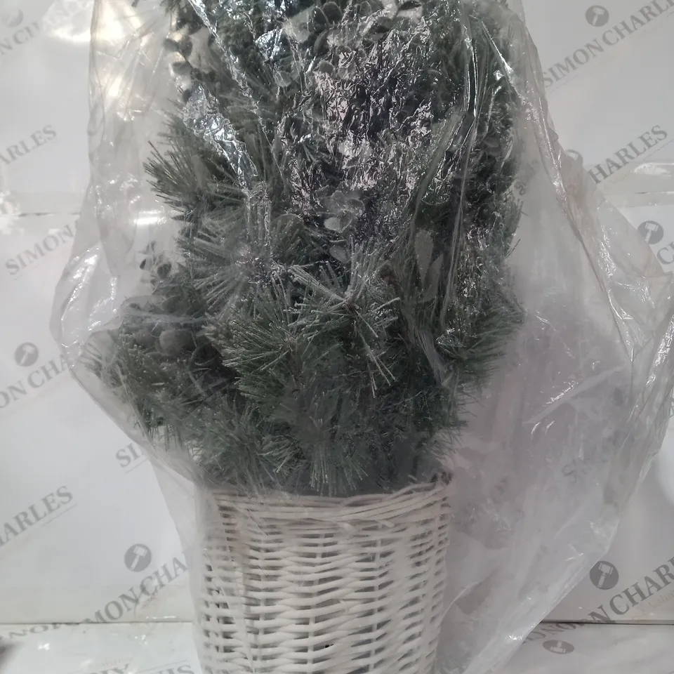 BOXED K BY KELLY HOPPEN COTSWOLDS CHOICE OF PRE-LIT GREENERY CHRISTMAS DECORATION