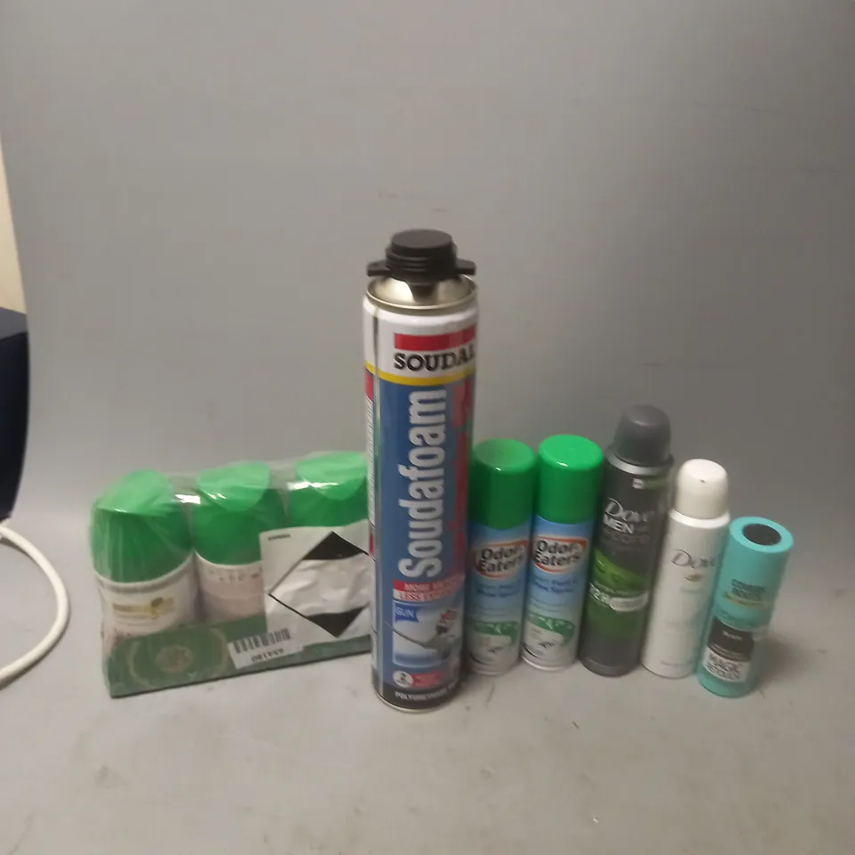 APPROXIMATELY 12 ASSORTED AEROSOLS TO INCLUDE DOVE EXTRA FRESH, ODOR EATER, AND SOUDAFOAM LOW EXPANSION GUN ETC. 