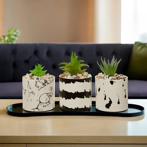 BOXED LINEHAM 7CM FERN SUCCULENT IN PLANTER