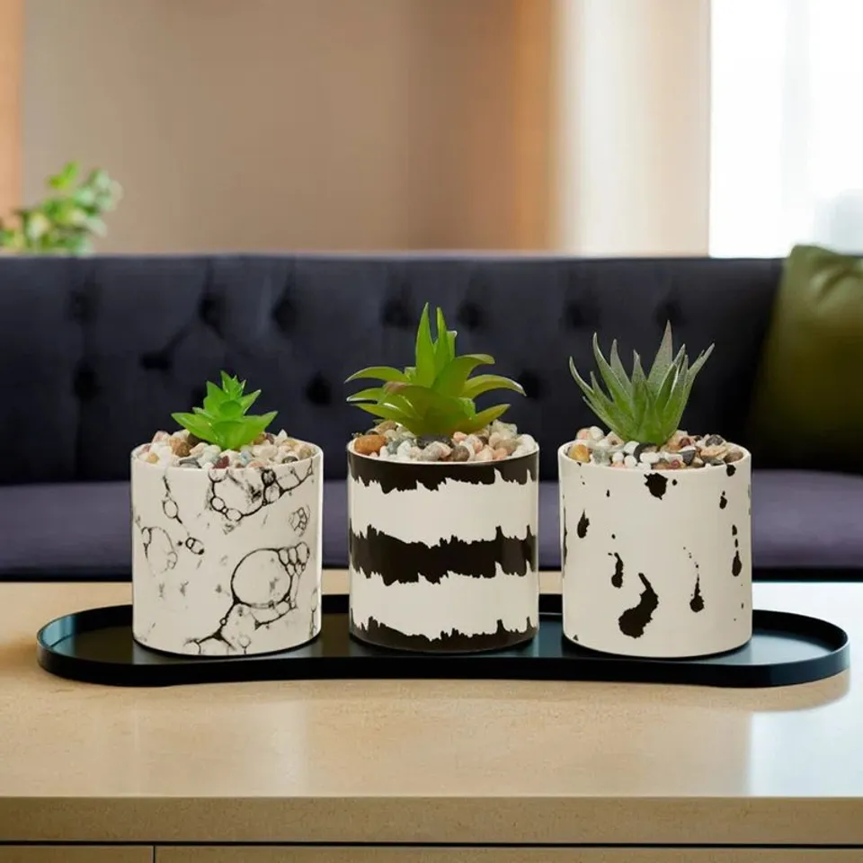 BOXED LINEHAM 7CM FERN SUCCULENT IN PLANTER