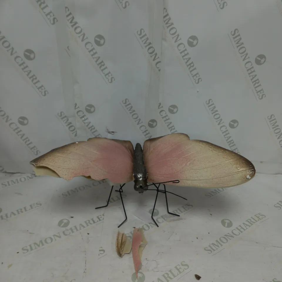 BOXED DECORATIVE BUTTERFLY IN GOLD/CORAL