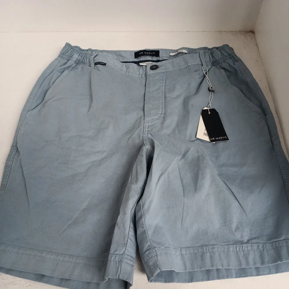 MR MARVIS THE ORIGINALS SHORTS IN ANTARTICS - W34