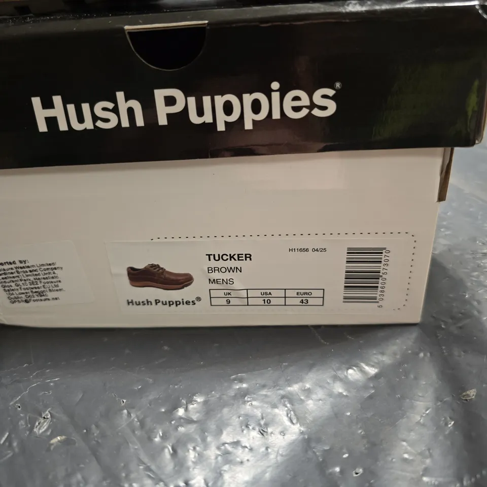 HUSH PUPPIES TUCKER BROWN MEN'S SHOES UK 9 - BOXED
