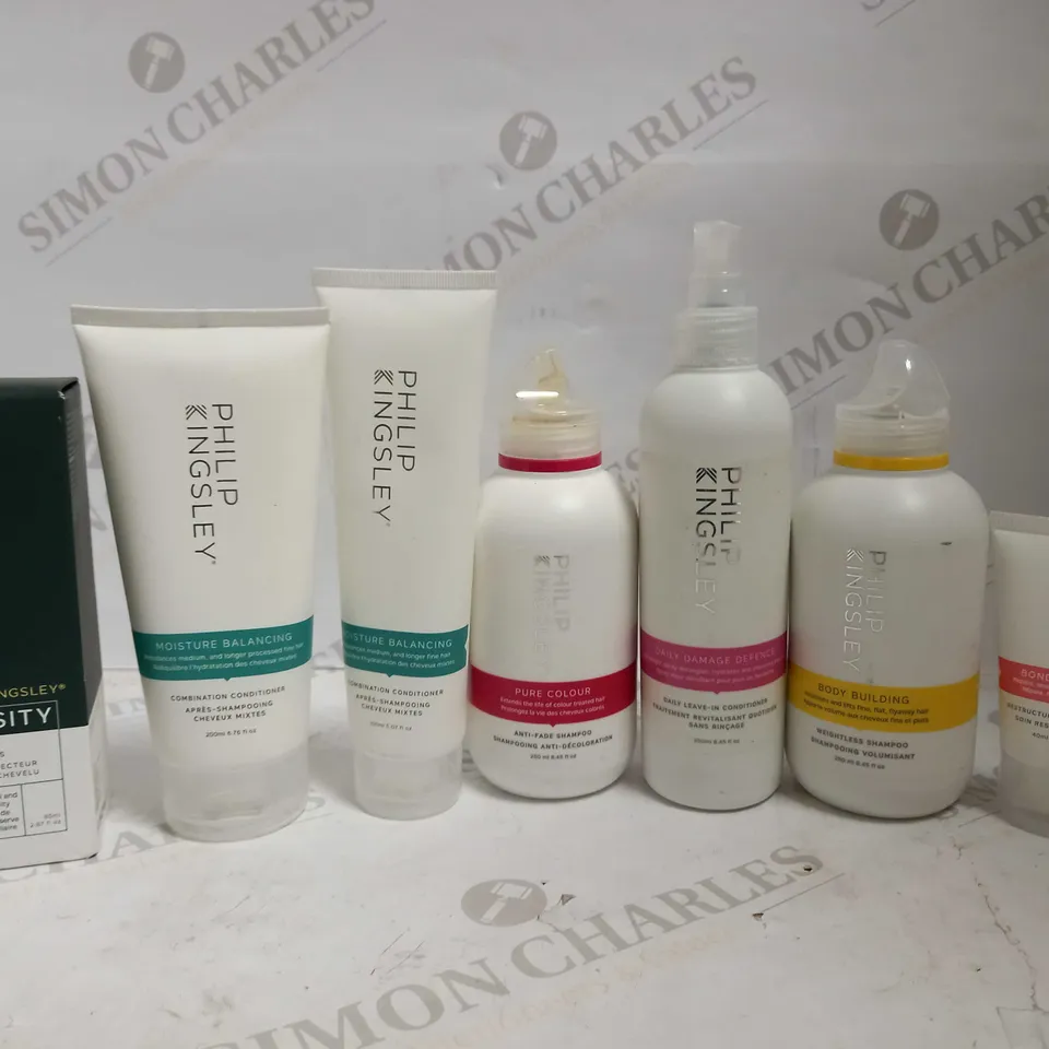 LOT OF 7 PHILIP KINGSLEY HAIR CARE ITEMS