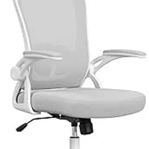 BOXED FARINI MESH OFFICE CHAIR, ERGONOMIC COMPUTER DESK CHAIR WITH ADJUSTABLE HEADREST, LUMBAR SUPPORT & FLIP-UP ARMS - WHITE & GRAY (1 BOX)