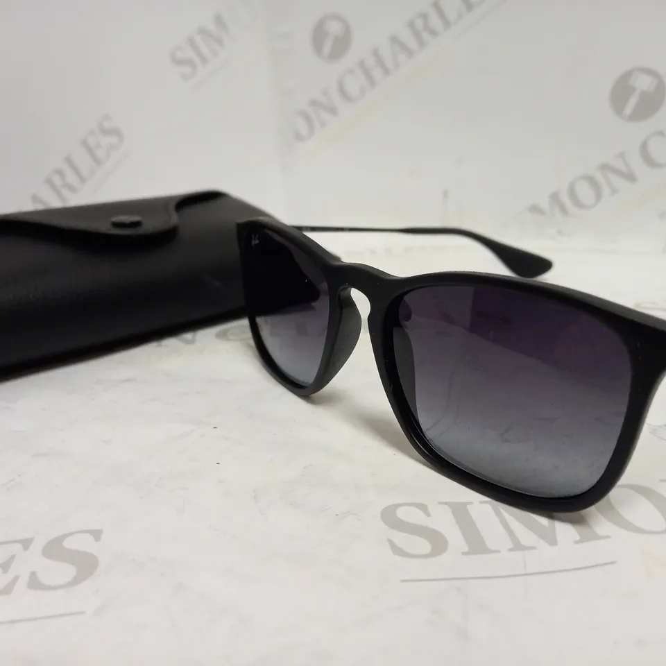 RAY-BAN STYLE CHRIS SUNGLASSES