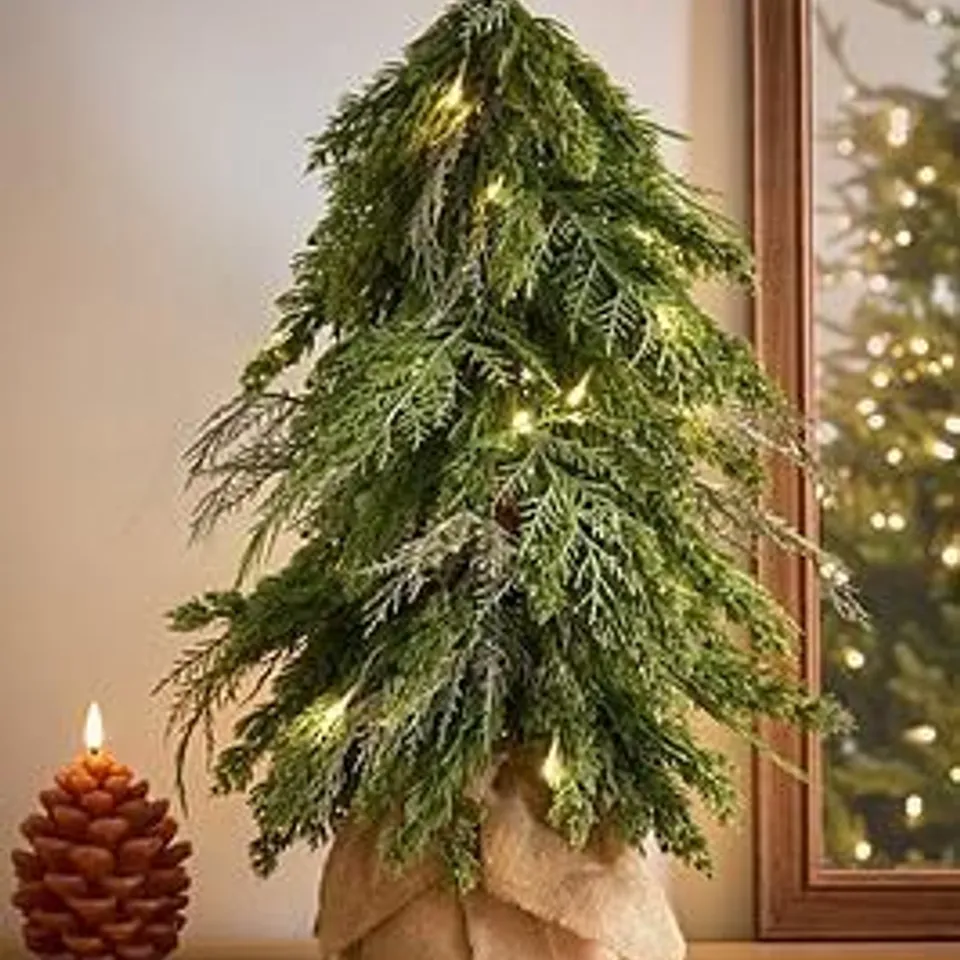 BOXED FERN PRE-LIT SMALL CHRISTMAS TREE RRP £29.99