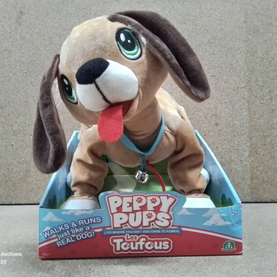 BOXED PEPPY PUPS 