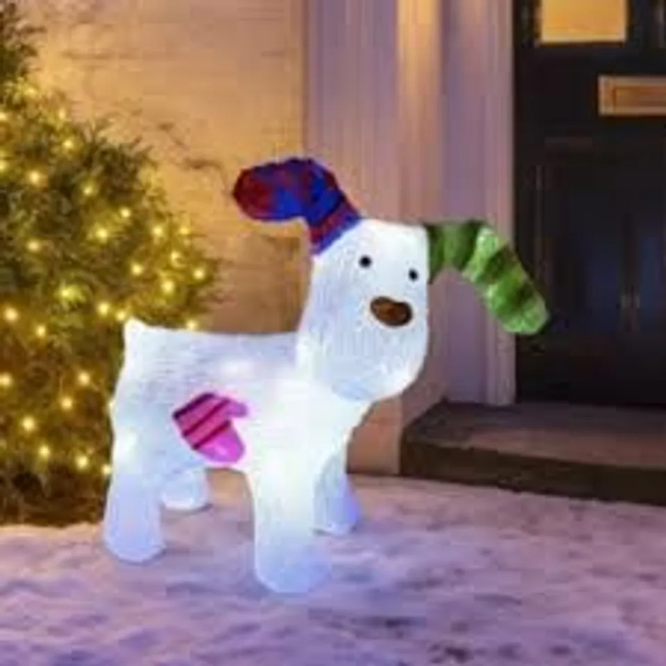 BOXED NEO DOG ACRYLIC CHRISTMAS LIGHT 30 COOL WHITE LED CHRISTMAS LIGHT