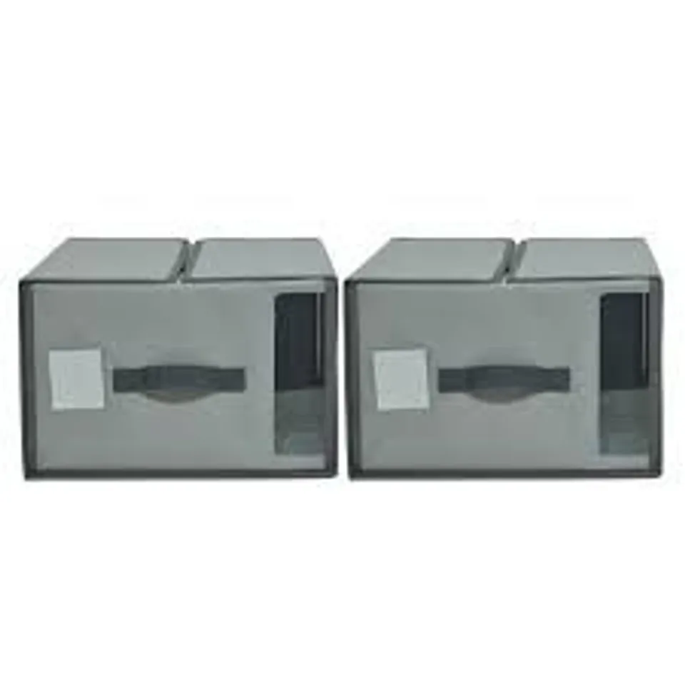 OUTLET ORGANIZED OPTIONS SET OF 2 STORAGE BOXES