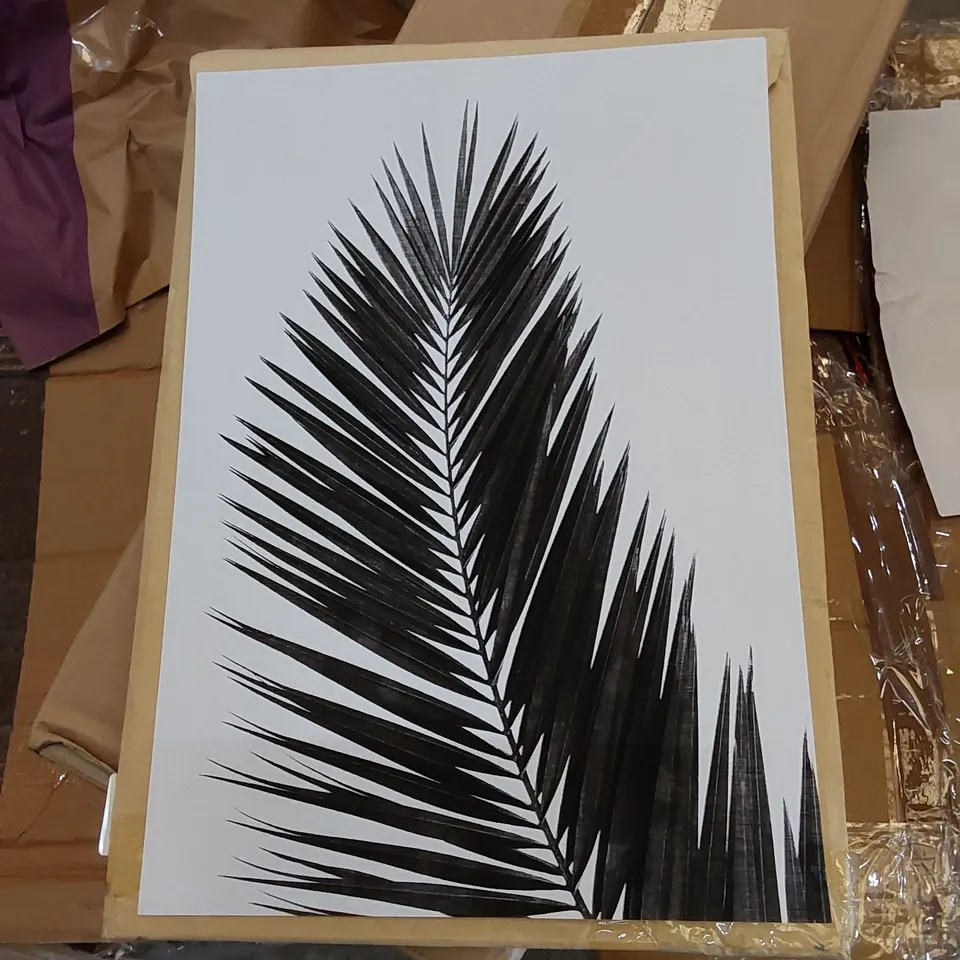 PALM LEAF - GRAPHIC ART 
