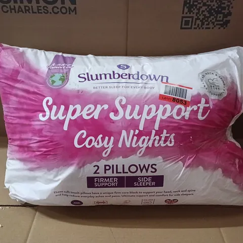 BAGGED SLUMBERDOWN SUPER SUPPORT, COSY NIGHTS PILLOWS (SET OF 2)  