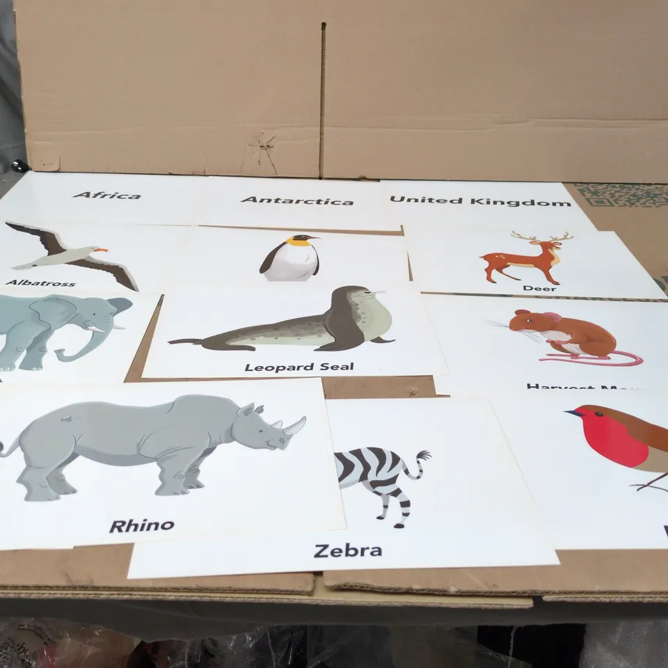 30 PACKS OF ANIMAL LOCATION CARDS ACTIVITY PACKS (BRAND NEW)
