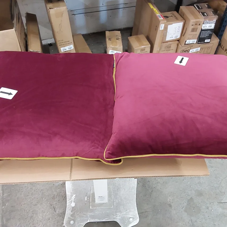 BAGGED SET OF 2 CHADWICK SQUARE SCATTER CUSHIONS (1 ITEM)