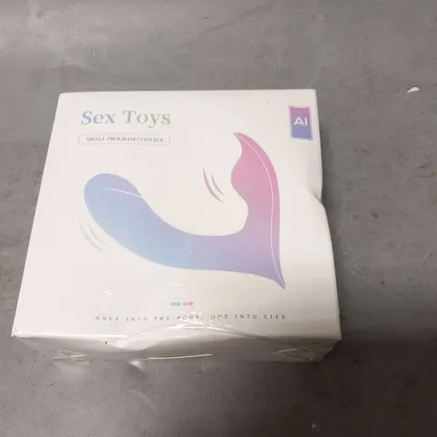 BOXED AND SEALED SEX TOYS SMALL PROGRAM CONTROL 