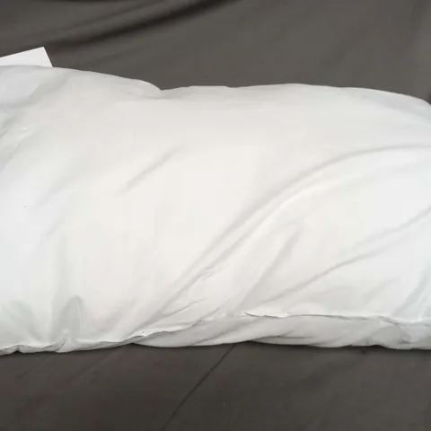 TWO PILLOWS