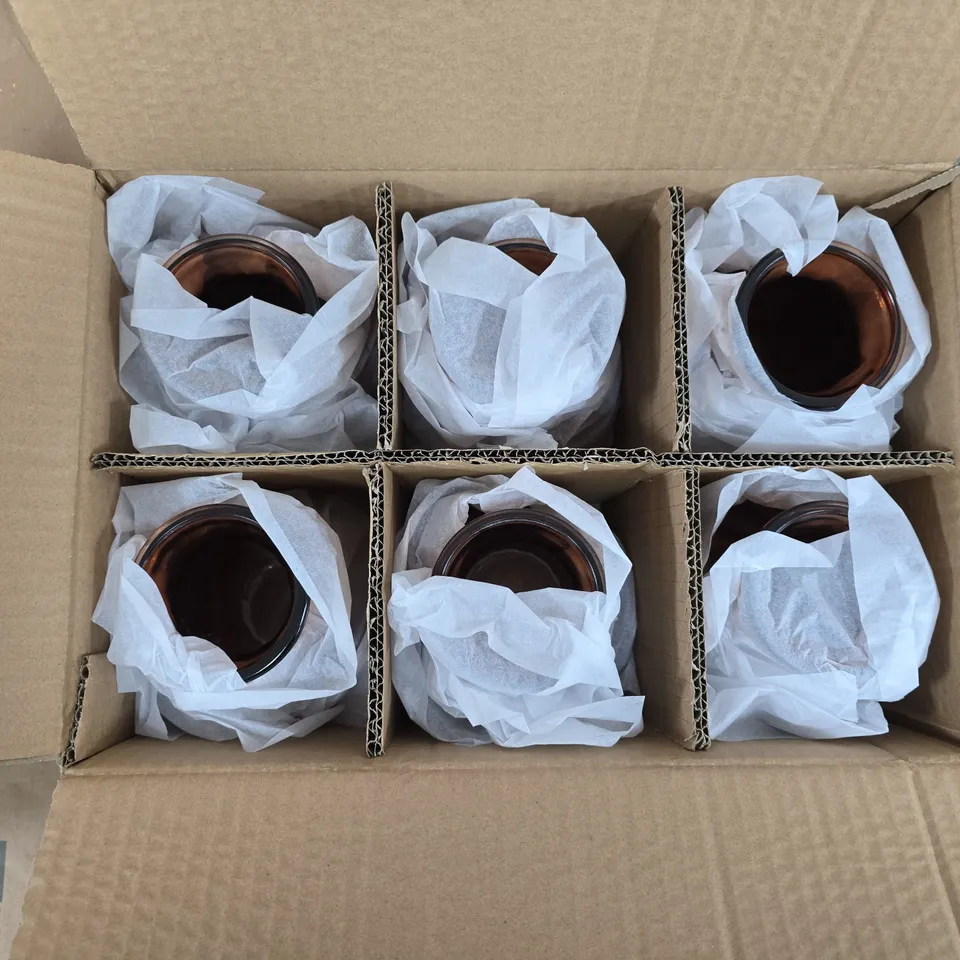 GISELA GRAHAM - BOX OF 6 DUSKY PINK POSY VASE