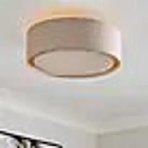 BOXED NESA 2 LIGHT SHALLOW FLUSH CEILING LIGHT