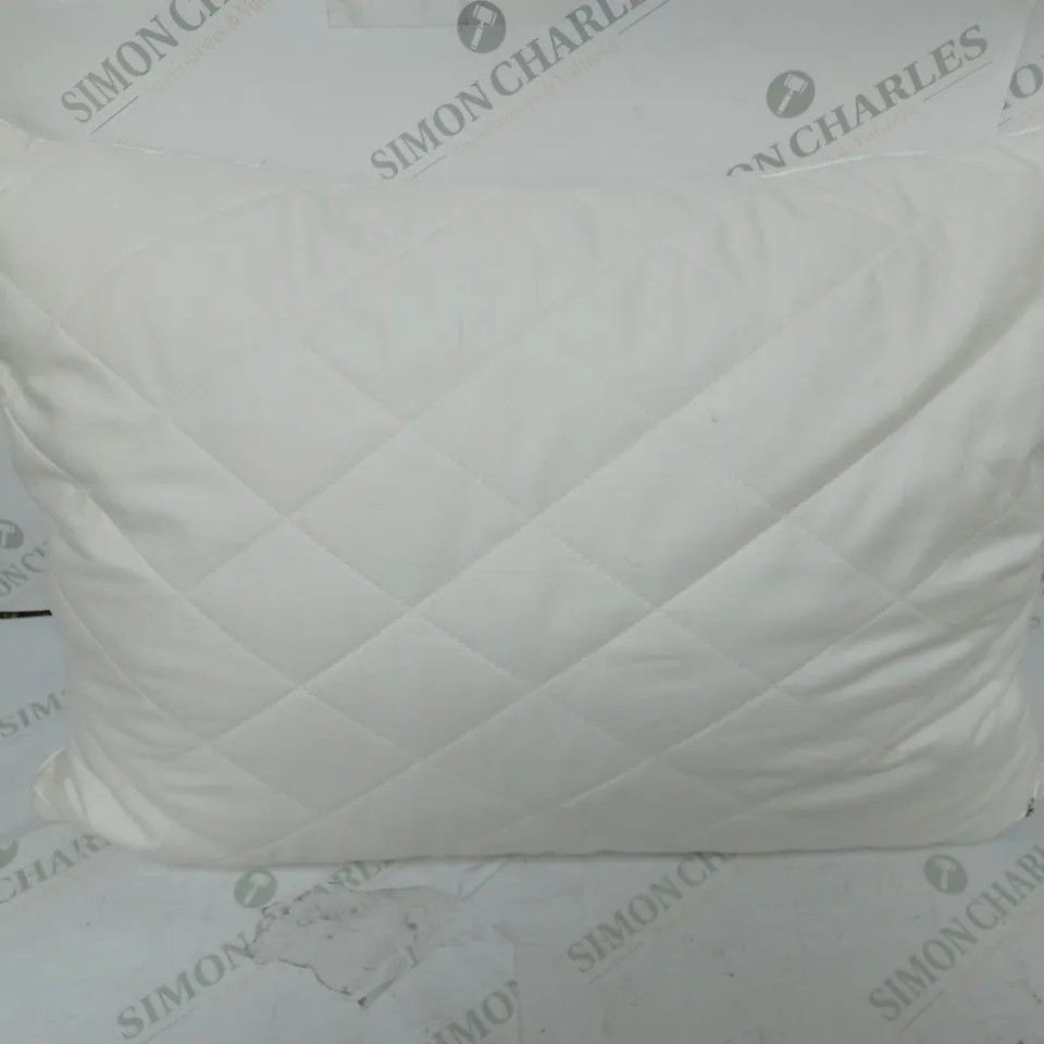 MULBERRY SILK SURROUND PILLOW