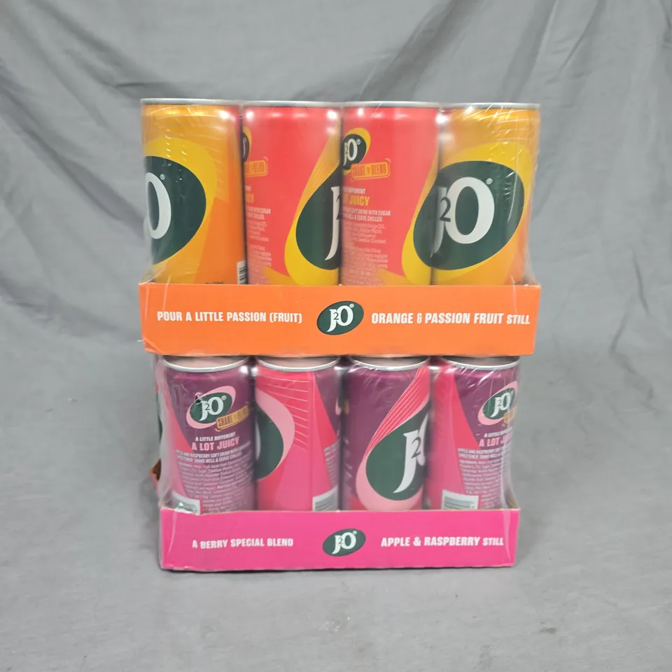 LOT OF 2 12-PACKS OF J20 INCLUDES ORANGE & PASSION FRUIT + APPLE & RASPBERRY