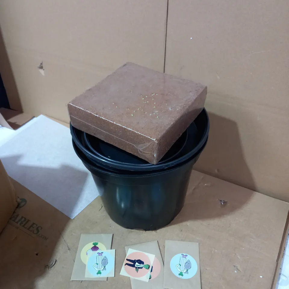 BOXED DESIGNER BLACK PLANT POT SEED SET