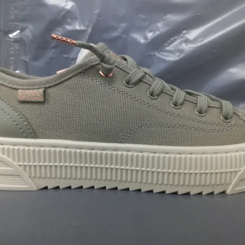 BOXED PAIR OF SKECHERS CANVAS TRAINERS IN OLIVE SIZE 4