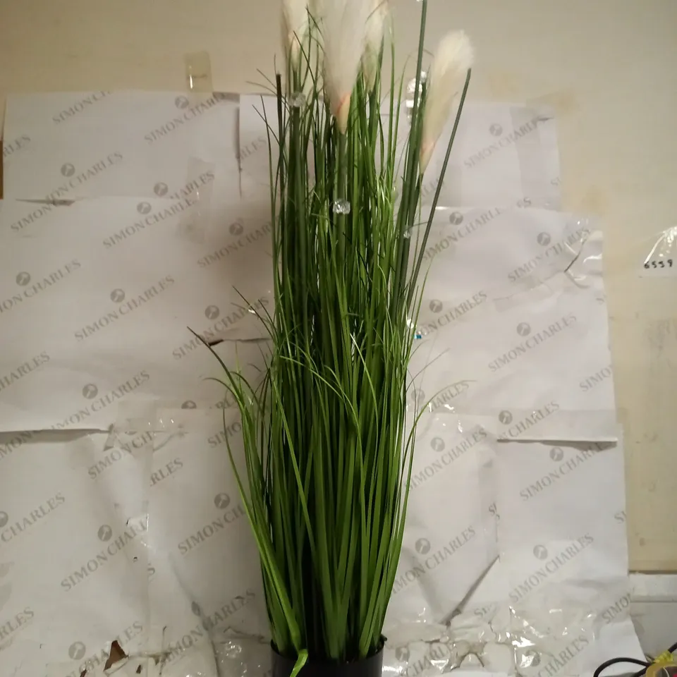 HOME2GARDEN LED PAMPAS GRASS