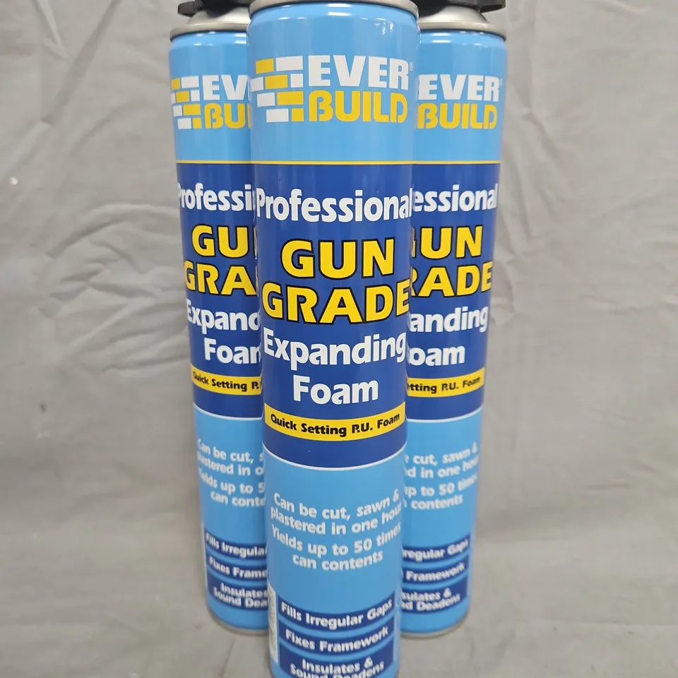 APPROXIMATELY 8 EVER BUILD PROFESSIONAL GUN GRADE EXPANDING FOAM CANS (750ML) - COLLECTION ONLY