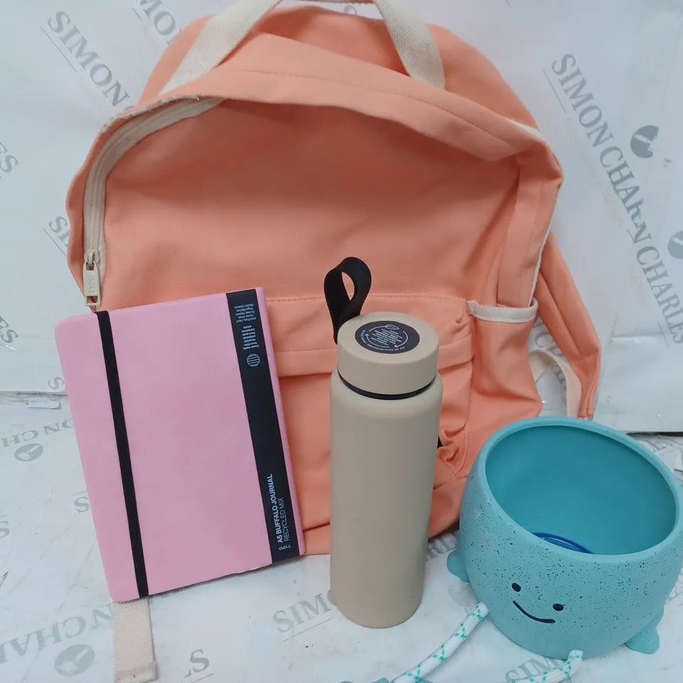BOX OF APPROXIMATELY 30 ASSORTED HOUSEHOLD ITEMS TO INCLUDE RUCKSACKS, DECORATIVE ITEMS, BOTTLES, ETC
