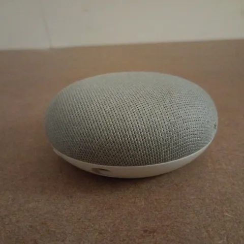 GOOGLE HOME MINI