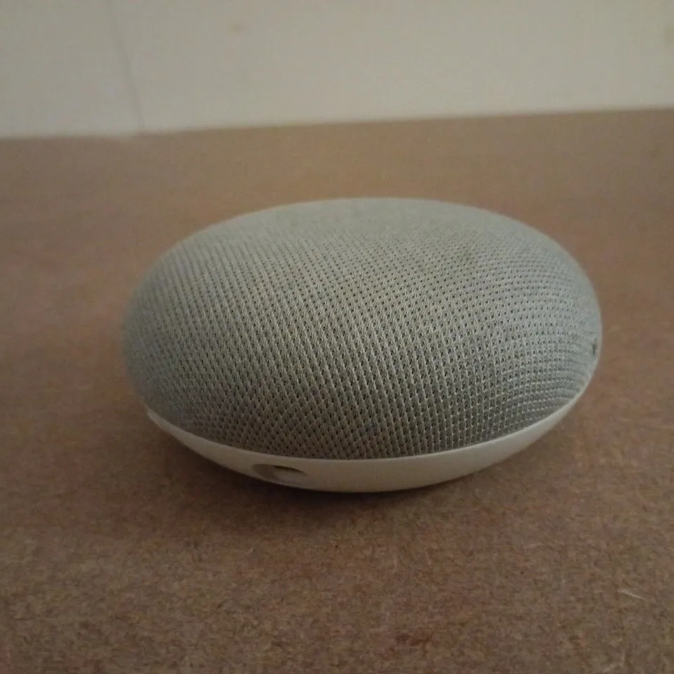 GOOGLE HOME MINI
