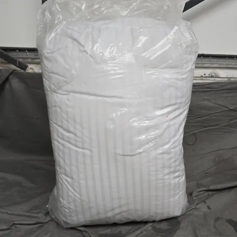 BAGGED PAIR OF STRIPED PILLOWS