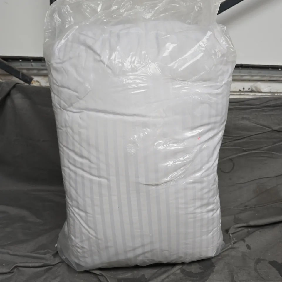 BAGGED PAIR OF STRIPED PILLOWS