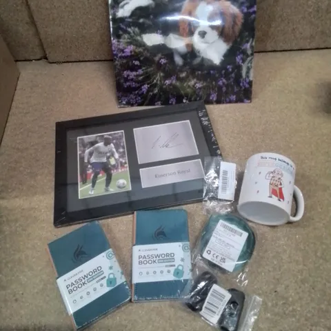 APPROXIMATELY 6 BRAND NEW BOXED ITEMS.