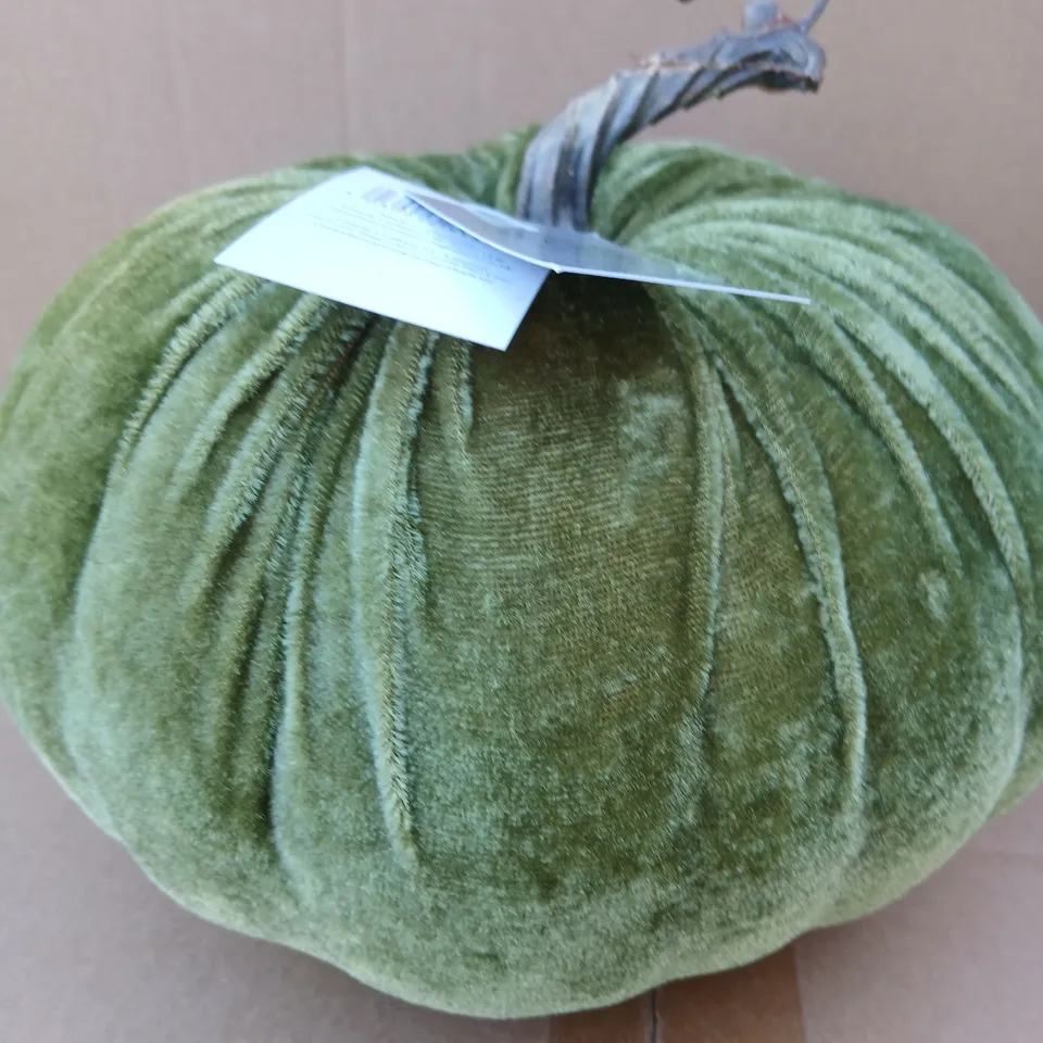 APPROXIMATELY 16 BRAND NEW GISELA GRAHAM VELVET PUMPKIN DECORATION, GREEN – LONDON
