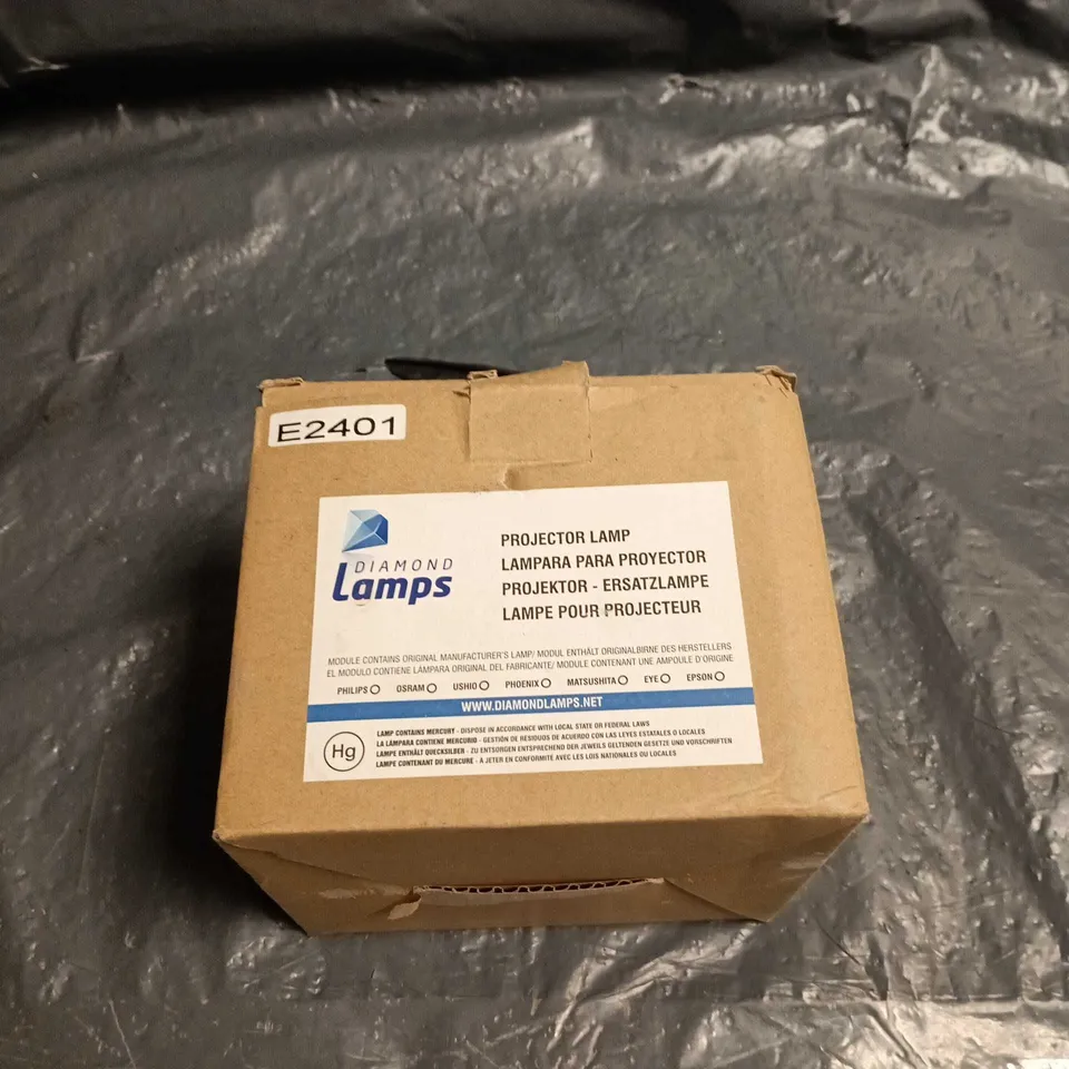 DIAMOND LAMPS PROJECTOR LAMP MODULE – E2401