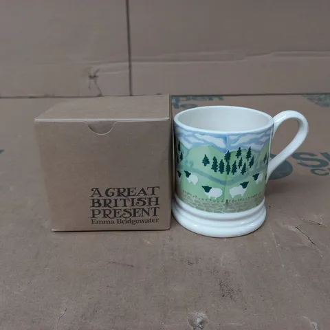 EMMA BRIDGEWATER HANDMADE SPONGEWARE COUNTRYSIDE MUG IN BOX