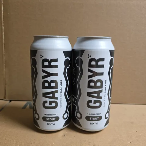 GABYR STOUT – ALCOHOL-FREE CANS - APPROX 12 CANS