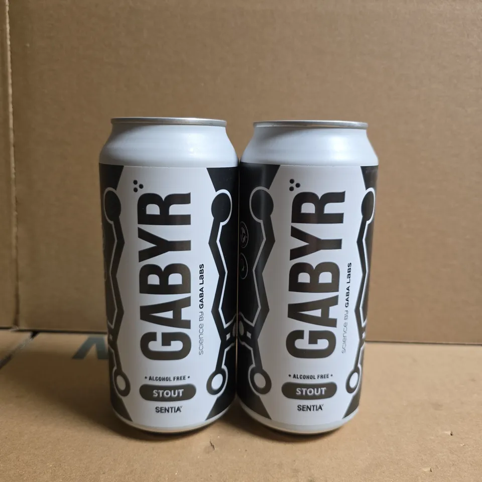 GABYR STOUT – ALCOHOL-FREE CANS - APPROX 12 CANS 