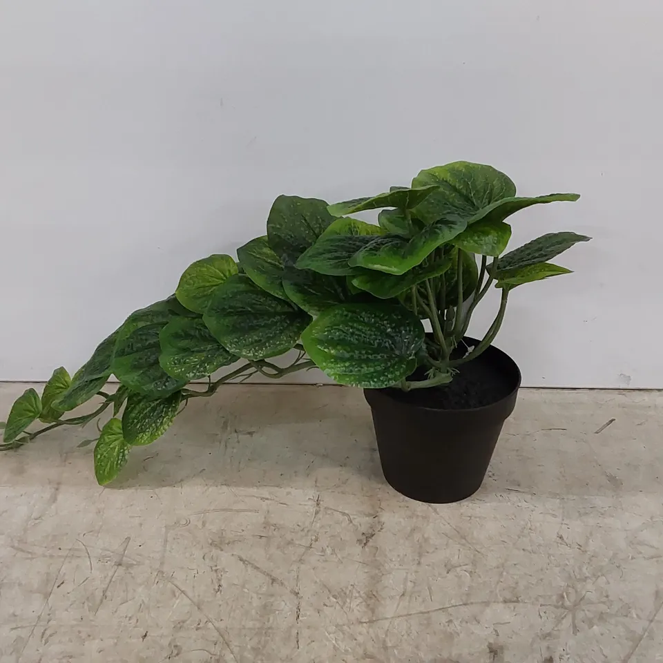 BOXED FOLIAGE PLANTS 35CM FAUX FOLIAGE PLANTS (1 BOX)