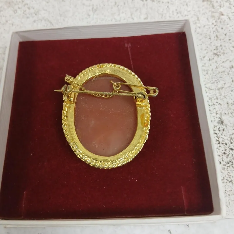 GOLD-TONE OVAL CAMEO BROOCH WITH PINK RELIEF PORTRAIT – ROPE-EDGE FRAME