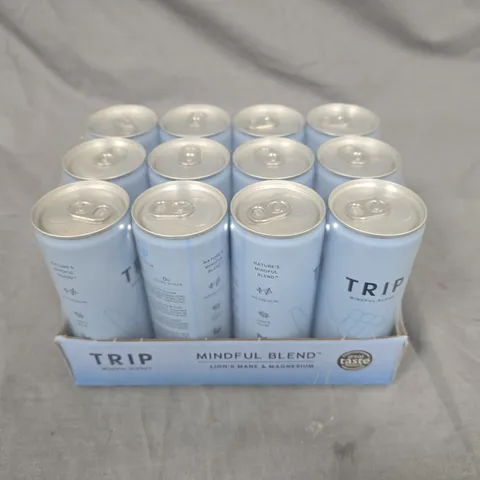TRIP MINDFUL BLEND DRINKS IN CUCUMBER MINT - 12 X 250ML