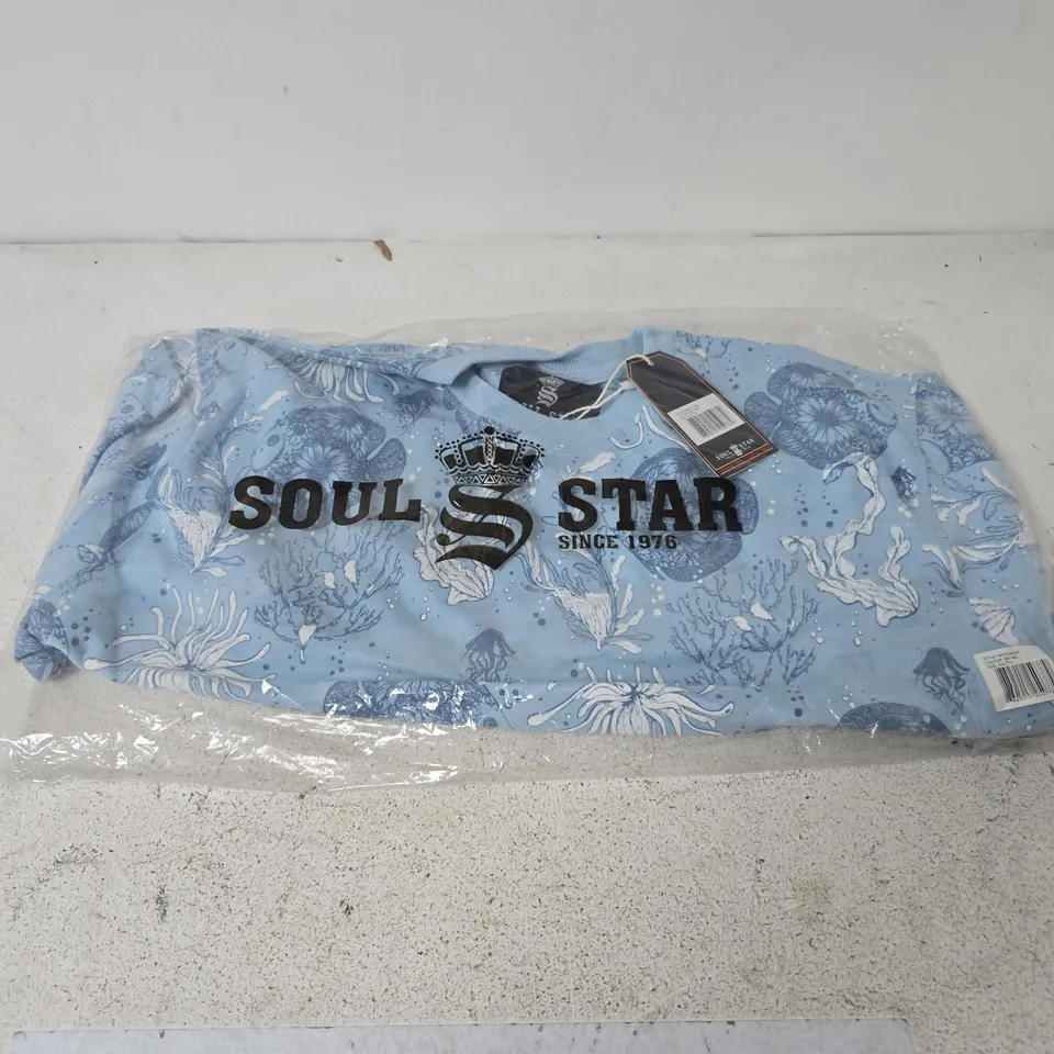 BAGGED SOUL STAR MSW LAGER ROUND NECK LONG SLEEVE TOP IN SKY MEL - XXL