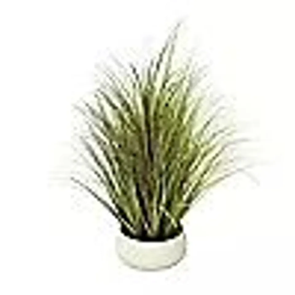 K BY KELLY HOPPEN INDOOR OUTDOOR PRE-LIT LOMANDRA GRASS W/CEMENT POT