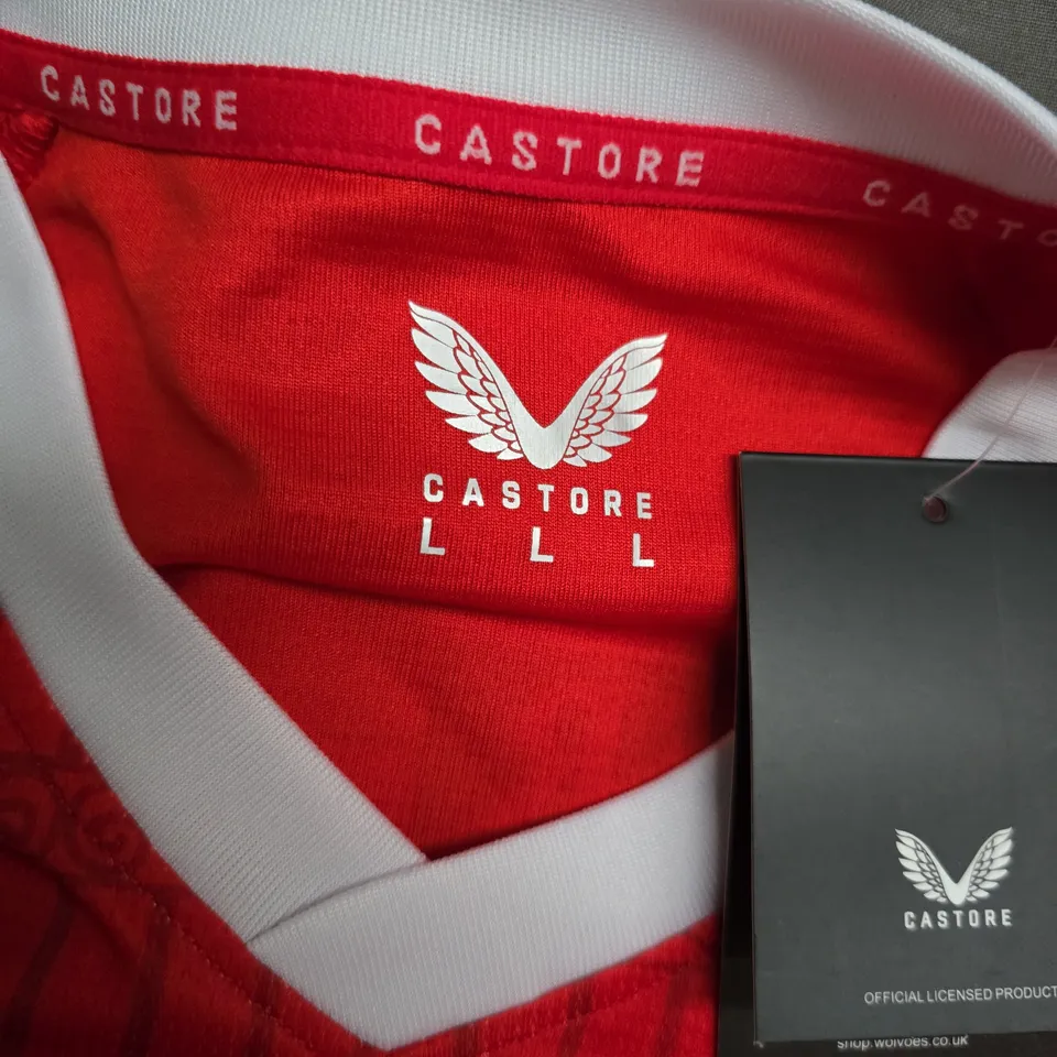 CASTORE MIDDELSBROUGH HOME JERSEY (#29 MALANDA) - LARGE