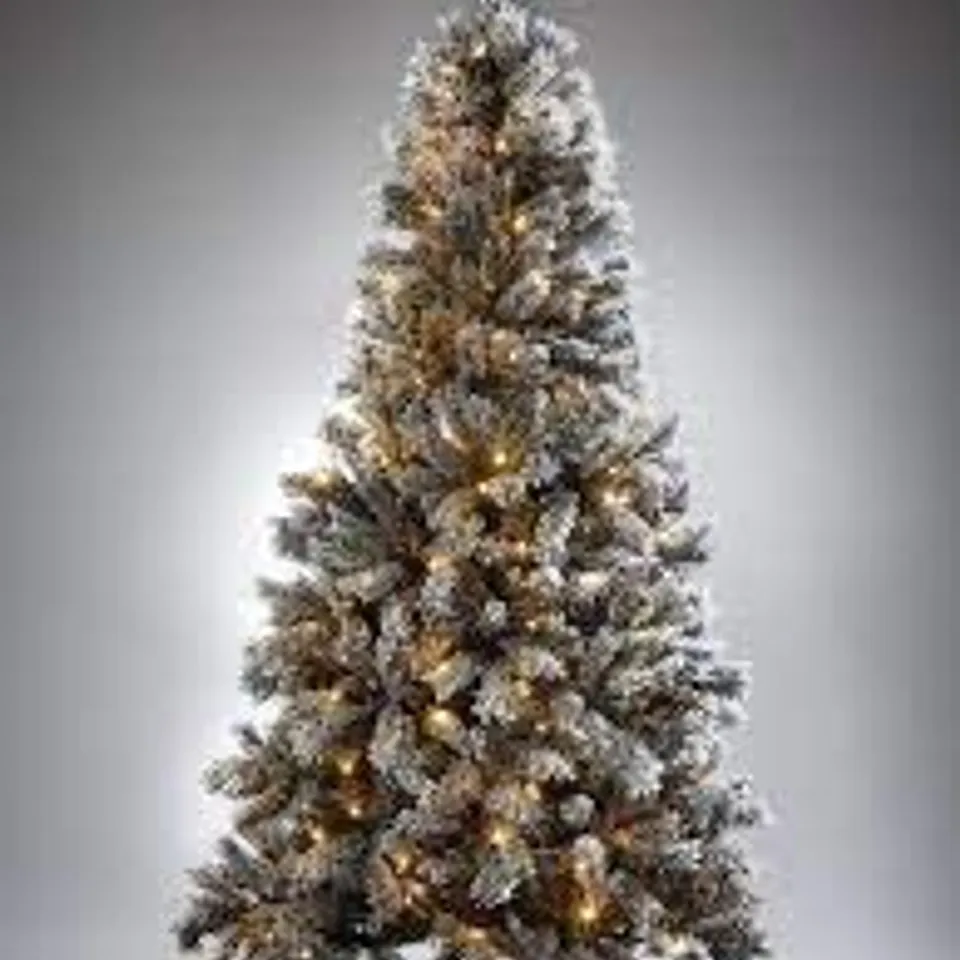 BOXED GRADE 1 7' BLACK FOREST FLOCKED PRE-LIT CHRISTMAS TREE RRP £199.99