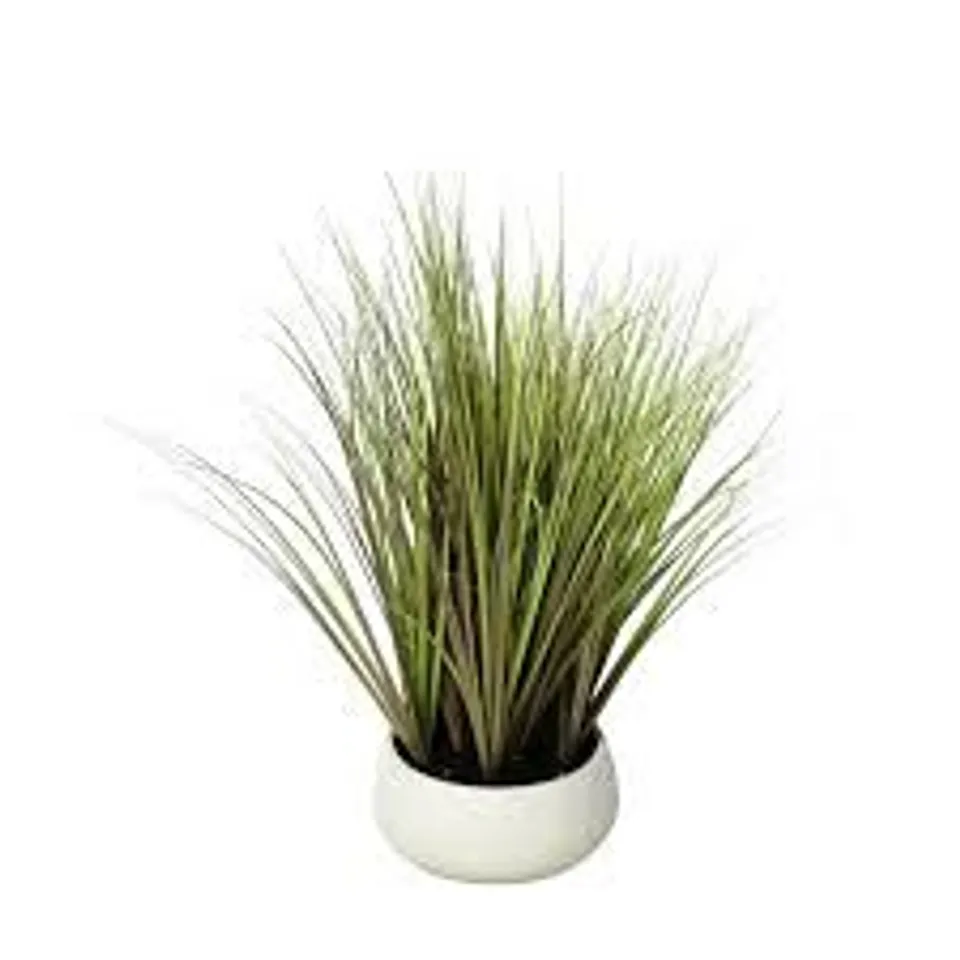K BY KELLY HOPPEN INDOOR OUTDOOR PRE-LIT LOMANDRA GRASS W/CEMENT POT