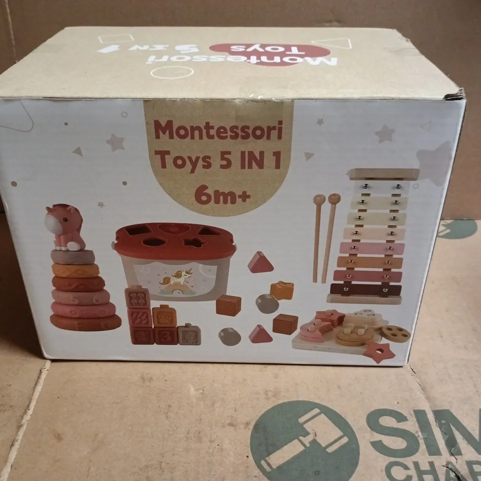 MONTESSORI TOYS 5 IN 1 KIDS TOY SET
